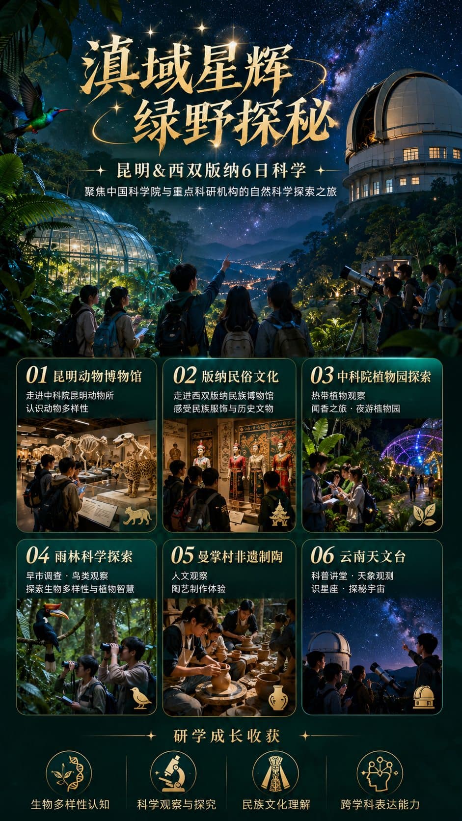滇域星辉 绿野探秘主题封面